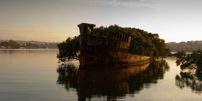 SS Ayrfield, Homebush Bay, Ausztrália