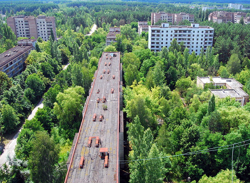 Képek, melyek bizonyítják, hogy a természet az úr