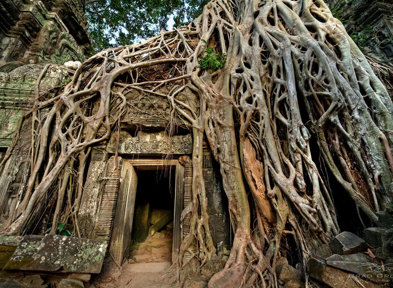 Képek, melyek bizonyítják, hogy a természet az úr