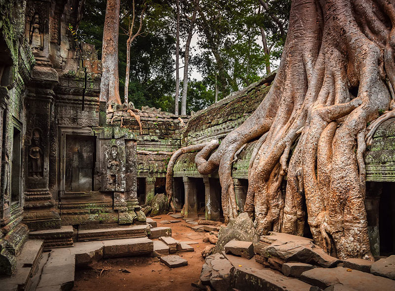 Képek, melyek bizonyítják, hogy a természet az úr