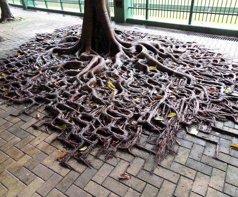 Képek, melyek bizonyítják, hogy a természet az úr