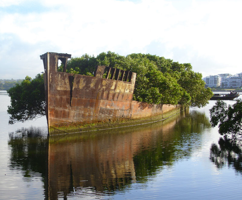 Képek, melyek bizonyítják, hogy a természet az úr