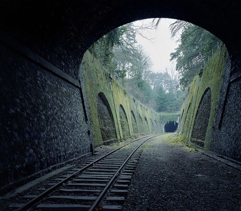 Képek, melyek bizonyítják, hogy a természet az úr