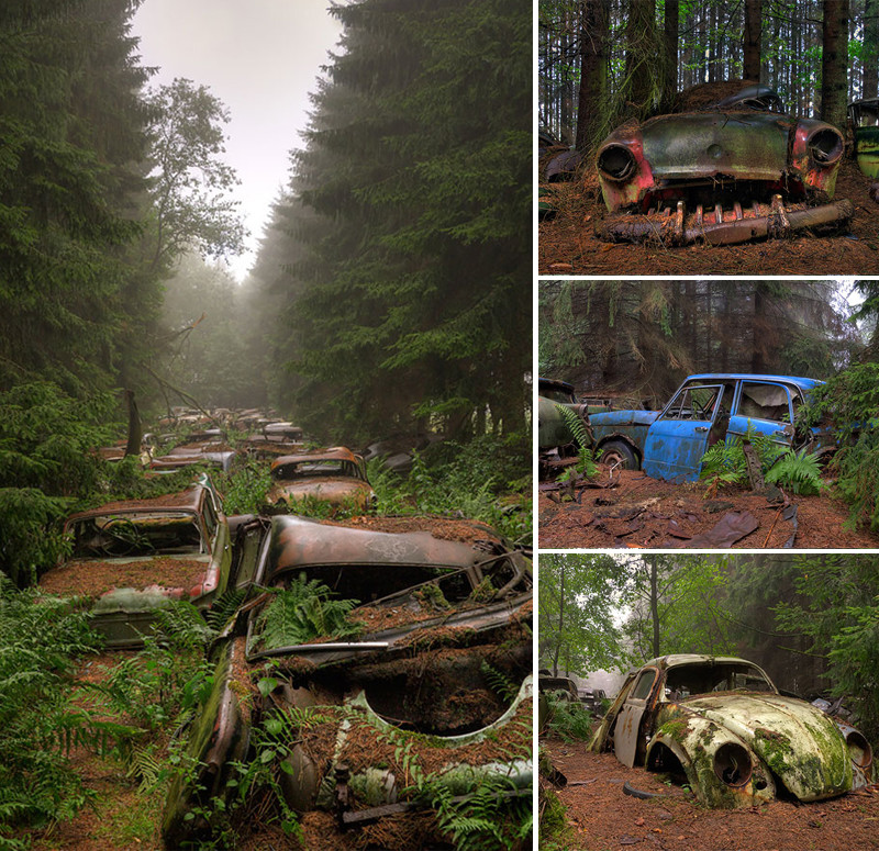 Képek, melyek bizonyítják, hogy a természet az úr