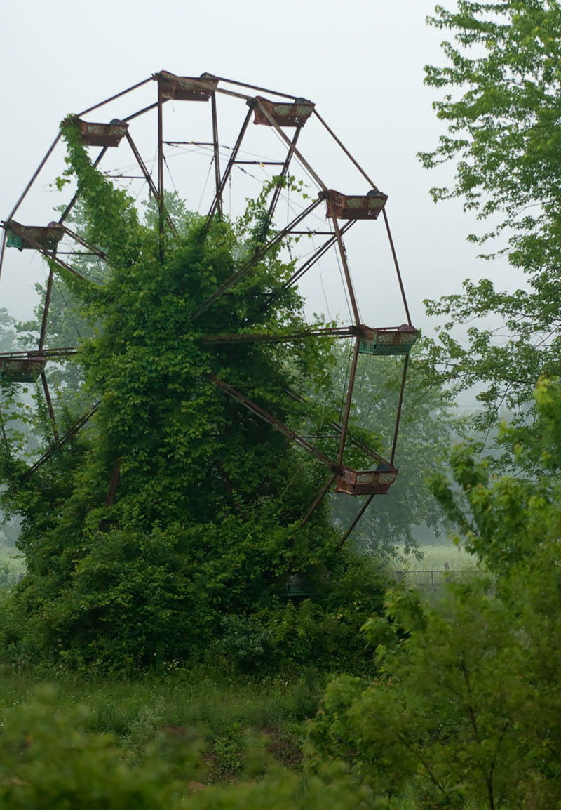 Képek, melyek bizonyítják, hogy a természet az úr