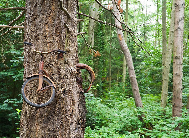 Képek, melyek bizonyítják, hogy a természet az úr