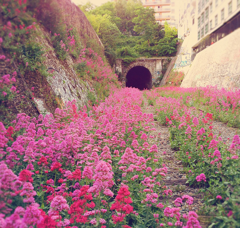 Képek, melyek bizonyítják, hogy a természet az úr