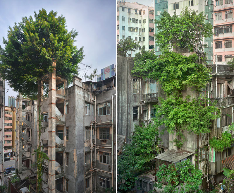 Képek, melyek bizonyítják, hogy a természet az úr