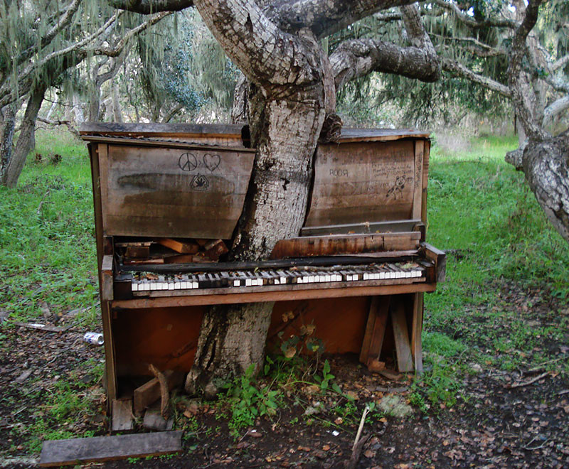 Képek, melyek bizonyítják, hogy a természet az úr